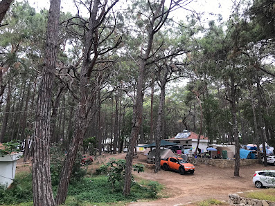 Alanya Çadır Kampı İncekum Yerel İşletme fotoğrafı 3
